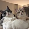 louieandtodd