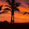 redsky4633