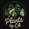 plantsby_ca