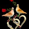 user820192557335