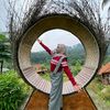 widiia_72