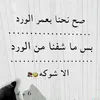 ali.almnswr