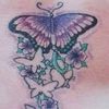 mariposamariposa69