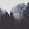 nasvay_loveer