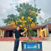 thuantrinh.98