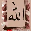 user5570079107493