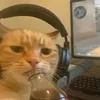 oliver_de08