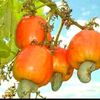 user7804440436288