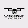 wingsightdrone