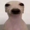 cuchaau_