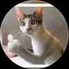 elfumy1