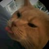 hendsome_x
