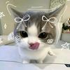_tsya66
