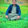 muhabatwafa45gmail.com