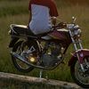 sambo_492
