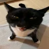 anhkhoii776