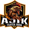 ajik_nova