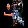 GÀ.CHỌI.BẢN.MÔNG