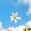 user58597829161187