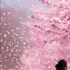 thanhphong9197