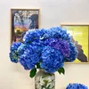 lily751535