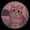 mister.chat.kyi