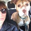 dogrescuegirl13