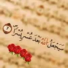 user14380311258701