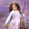 queen.iha8