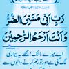sabbir.arbi