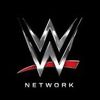 wwe_usa_fan