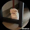 queenciu