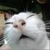 ừ