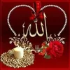 user7204806208074