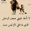 mohammed08512