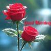 user9243501560581