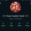 team_hazbin_6hotel