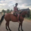 pedro.rei.das.cor