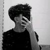 alek_439