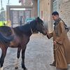 waleed.zaki0