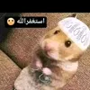 sahsi79