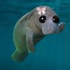 sweet.manatee.baby