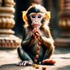 Monkey wxrdie