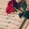 user74524048302261