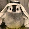 habibiejre