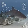 amo.biologiamarinha