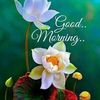 shaun.ali0