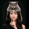 pagyancats_kpci