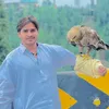 qasimqureshi.111