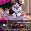 zeinebouederni